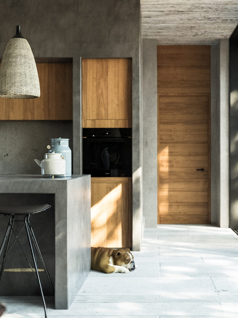 cocina de concreto pulido con techo de concreto aparente y ventanales con vista a pasillo de vegetación
